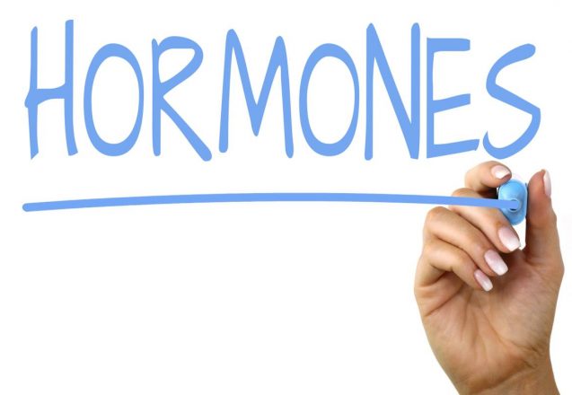 Hormones That Have A Big Affect On Your Health