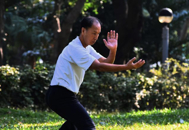 Boosting Your Body's Stem Cells