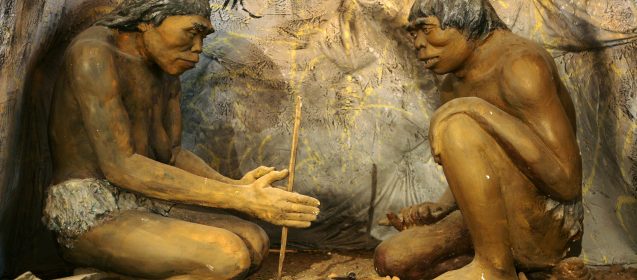 Should We Eat Like Cavemen